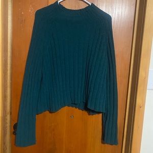 American eagle cropped sweater